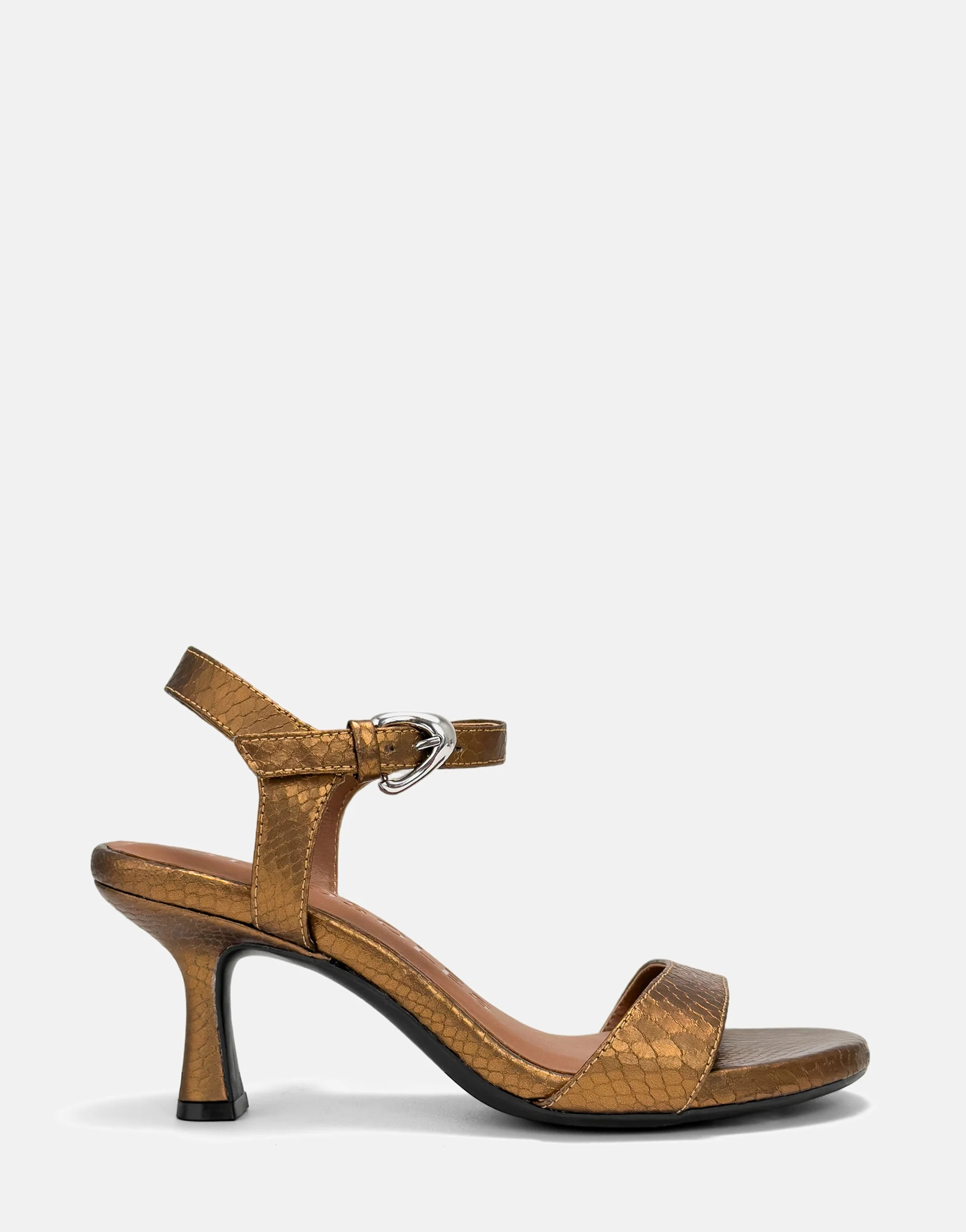 Divia | Aerosoles