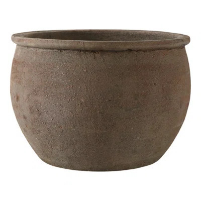 Hooge Traditional Pot Planter | Wayfair North America
