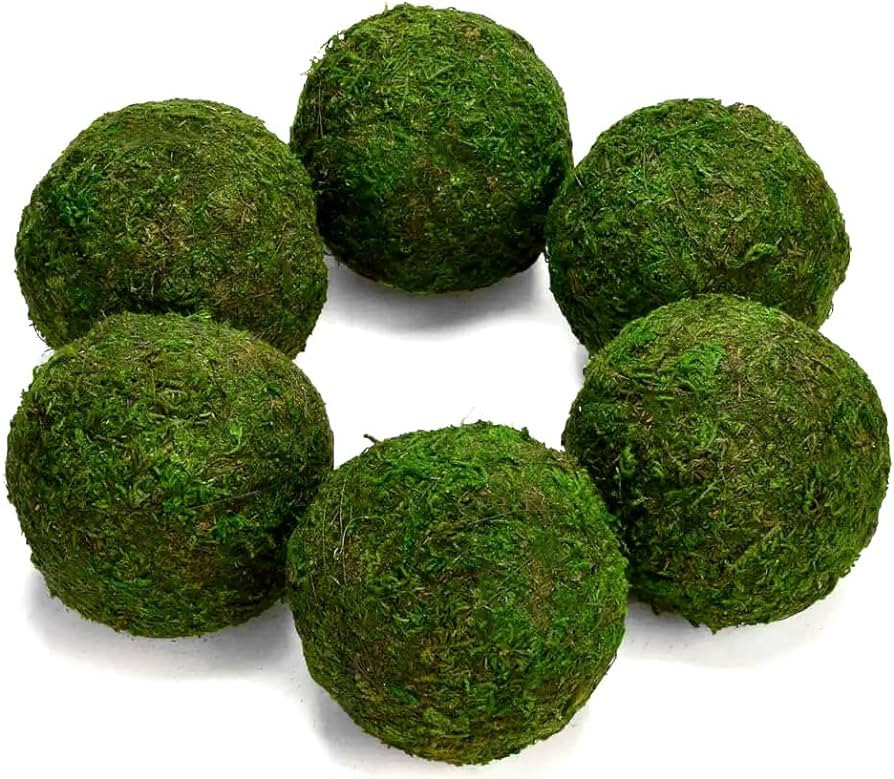 Farmoo Moss Balls Preserved All Natural, 3.5"-Set of 6 (Natural Green) | Amazon (US)