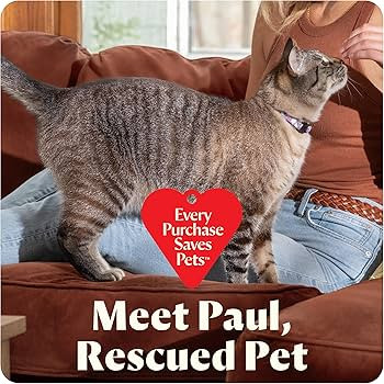 BISSELL Little Green Mini Portable Carpet and Upholstery Deep Cleaner, Car/Auto Detailer, with Hy... | Amazon (US)