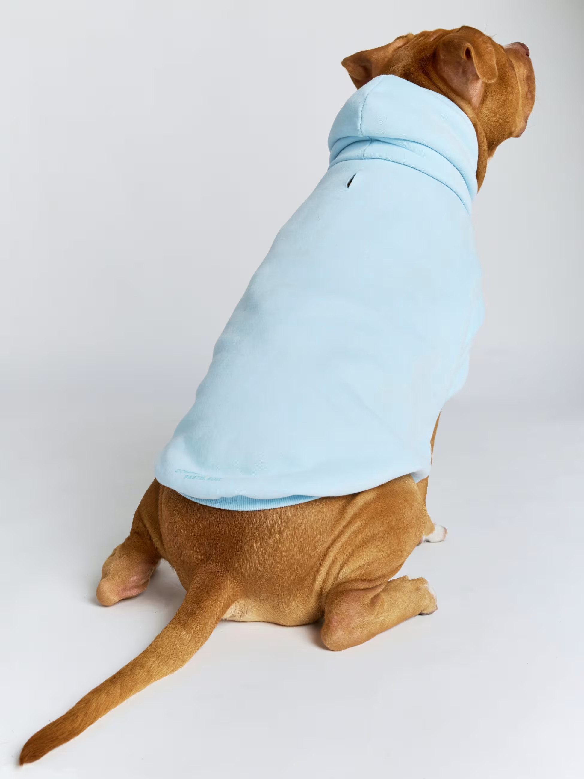 Pastel Paw Hoodie — Comfrt | Comfrt