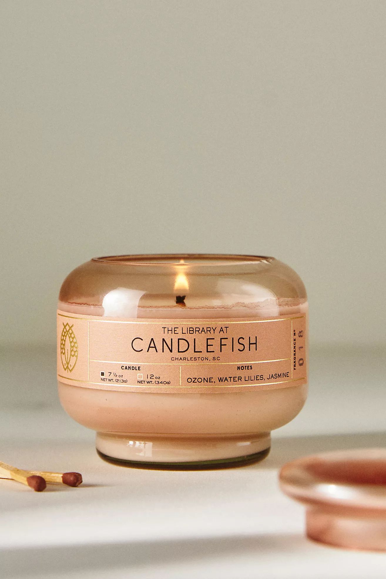 Candlefish Water Lilies & Jasmine Glass Candle | Anthropologie (US)