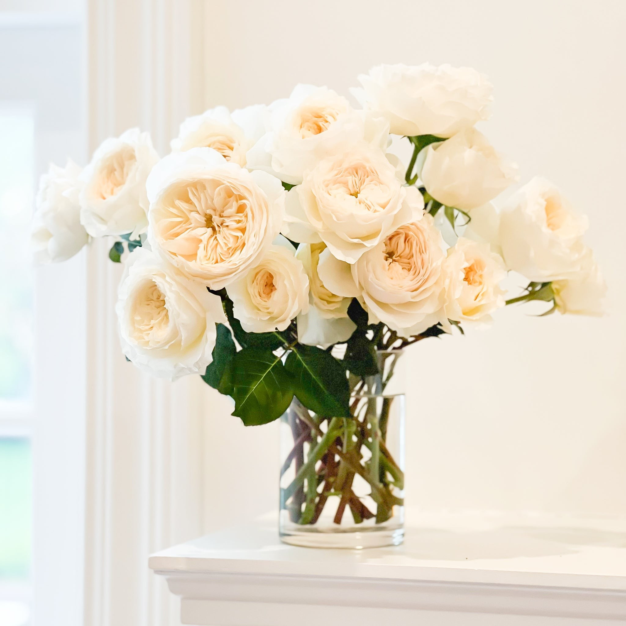 Patience | Grace Rose Farm