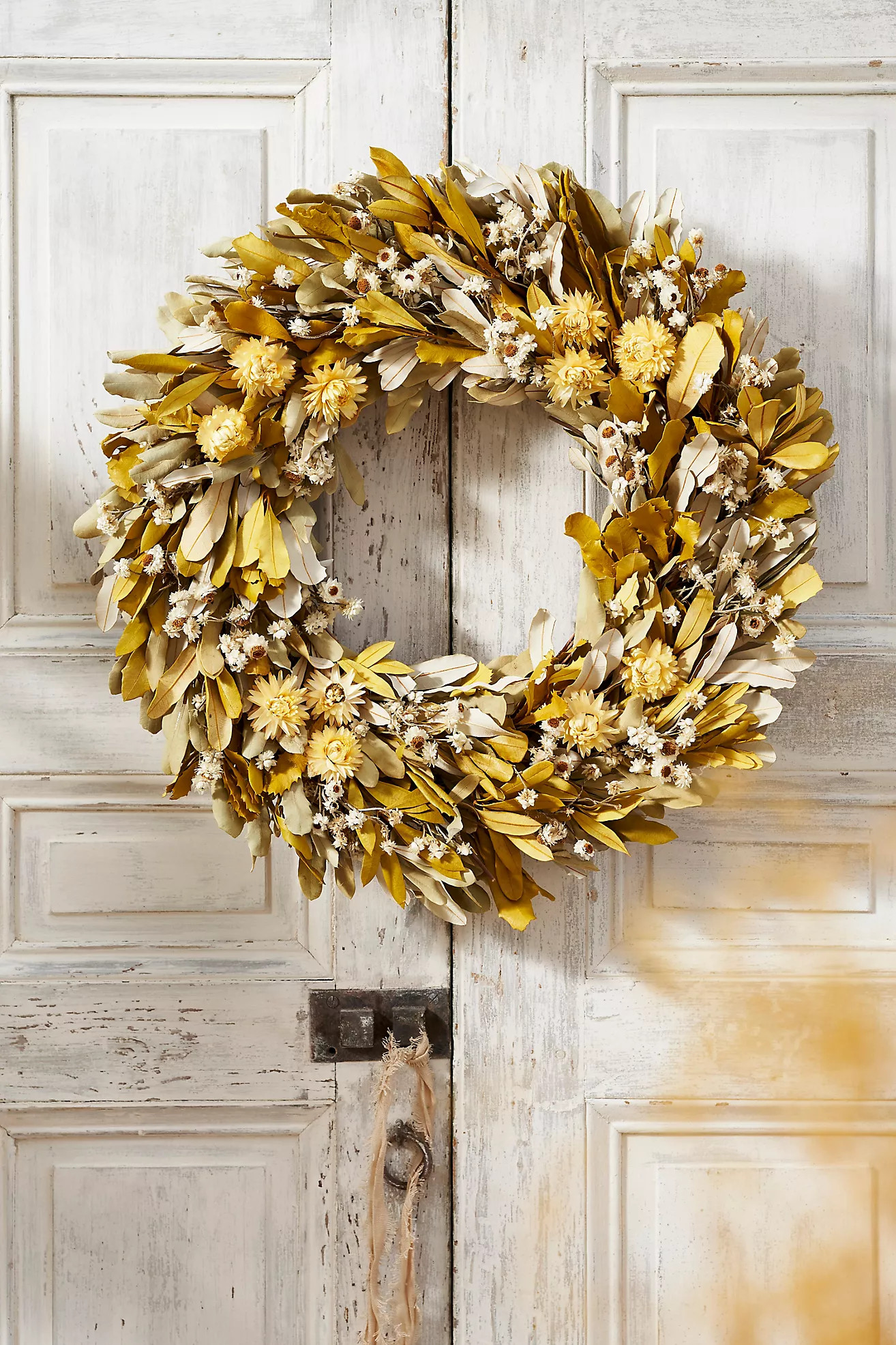 Citrus Grove Dried Wreath | Anthropologie (US)