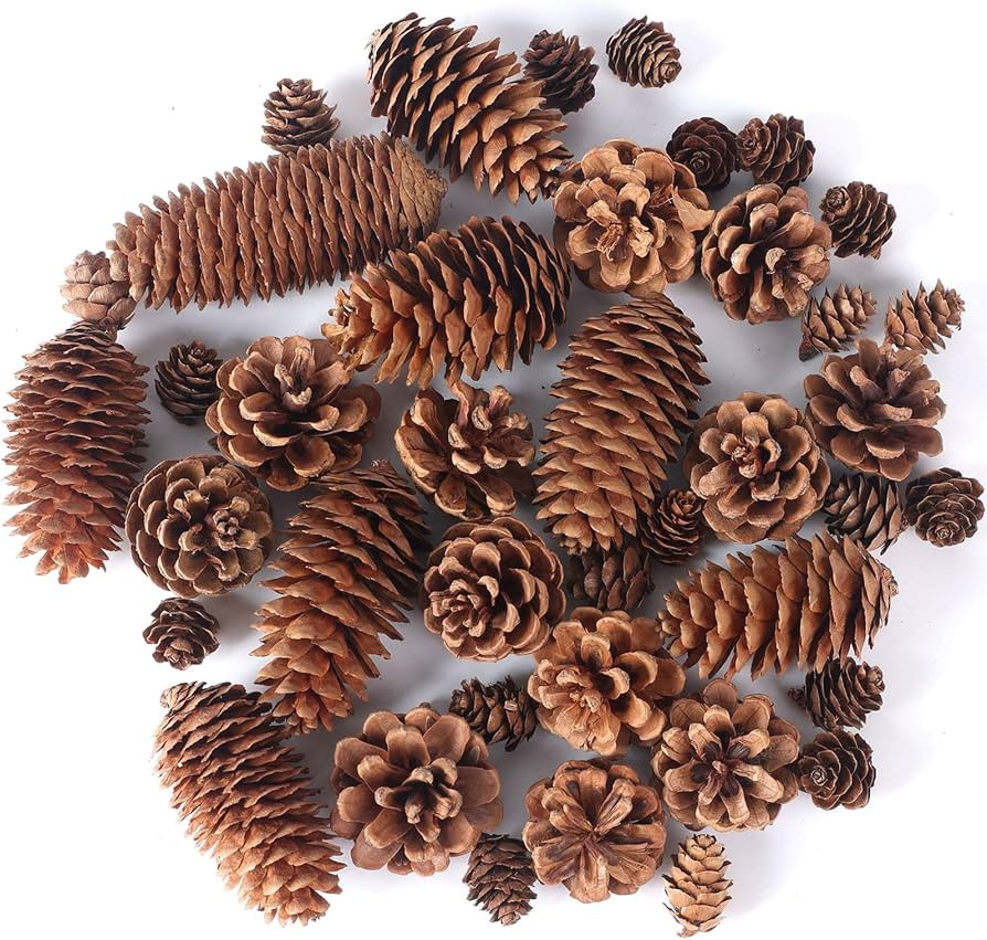 JOHOUSE 40PCS Natural Pine Cones Bulk, Pinecones Decorations Pine Cone Ornaments for Crafts Thank... | Amazon (US)