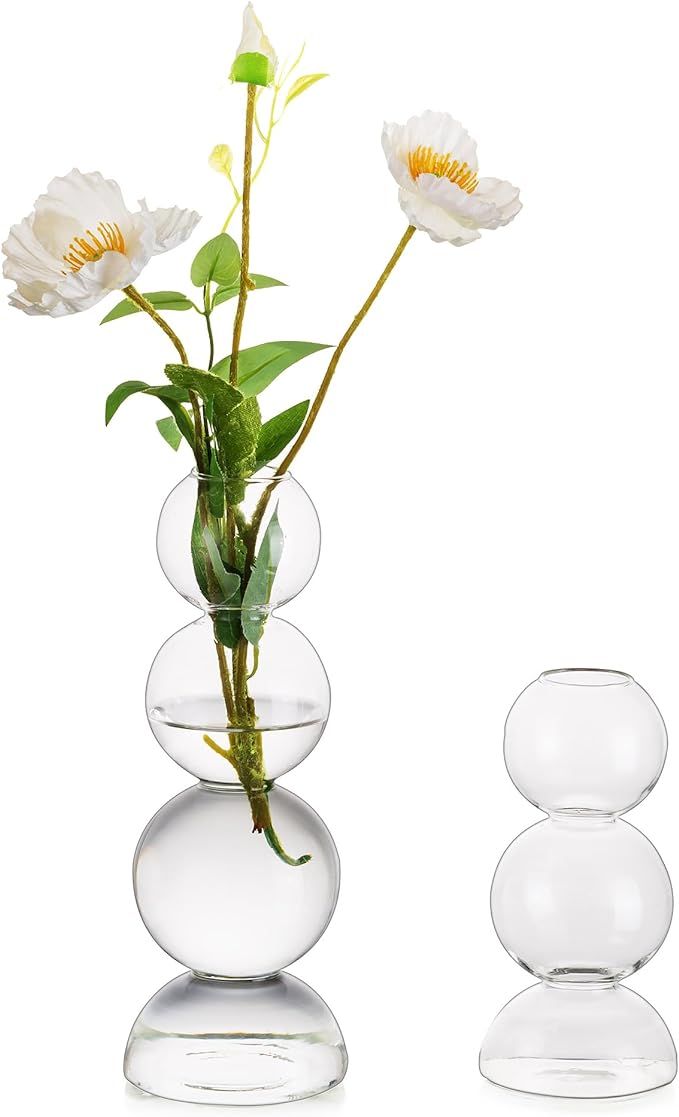 Glass Bubble Vases for Flowers, Hewory 2pcs Clear Unique Cute Single Flower Vase for Centerpieces... | Amazon (US)