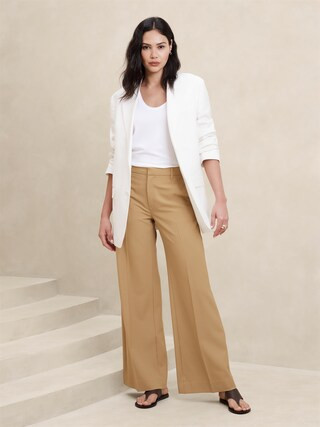 Sculpted Wide-Leg Trouser | Banana Republic Factory