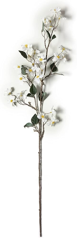 Ashland White Mini Dogwood Stem | Amazon (US)