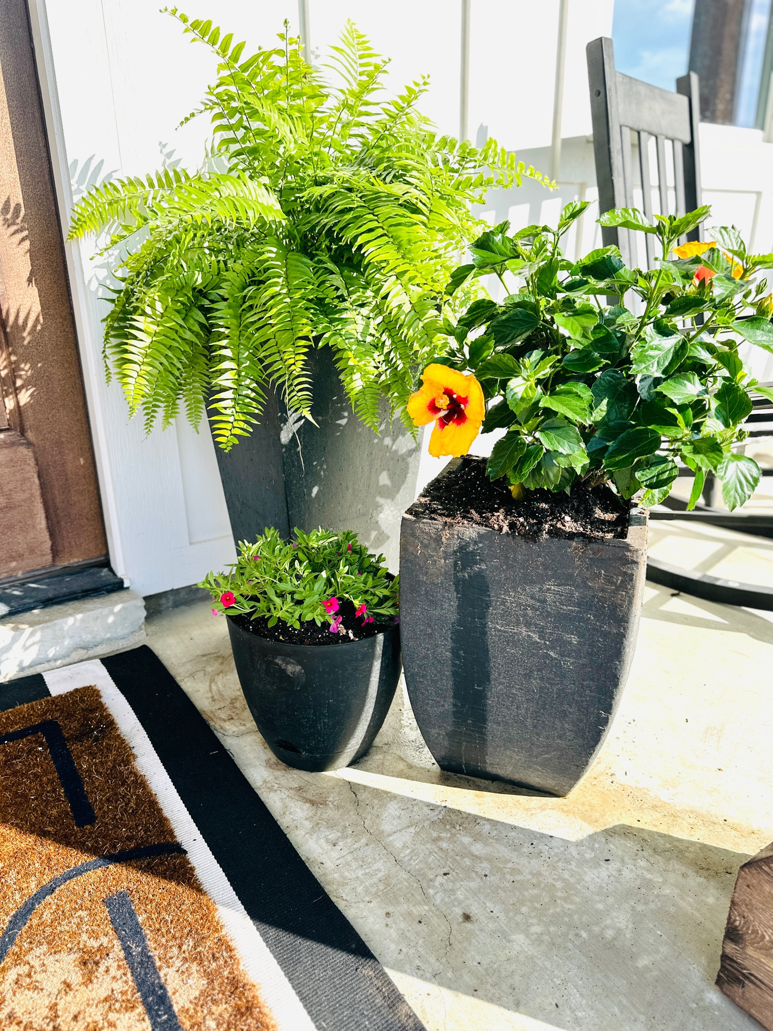 The perfect porch pot planters!! These black pot fillers are a beautiful set to compliment your outdoor patio or porch this spring! 🌼

#porchpotfillers #potplants #frontporch #outdoorpatio

#LTKSpringSale #LTKSeasonal #LTKhome