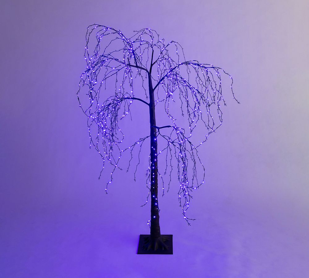 Lit Weeping Willow Tree | Pottery Barn (US)