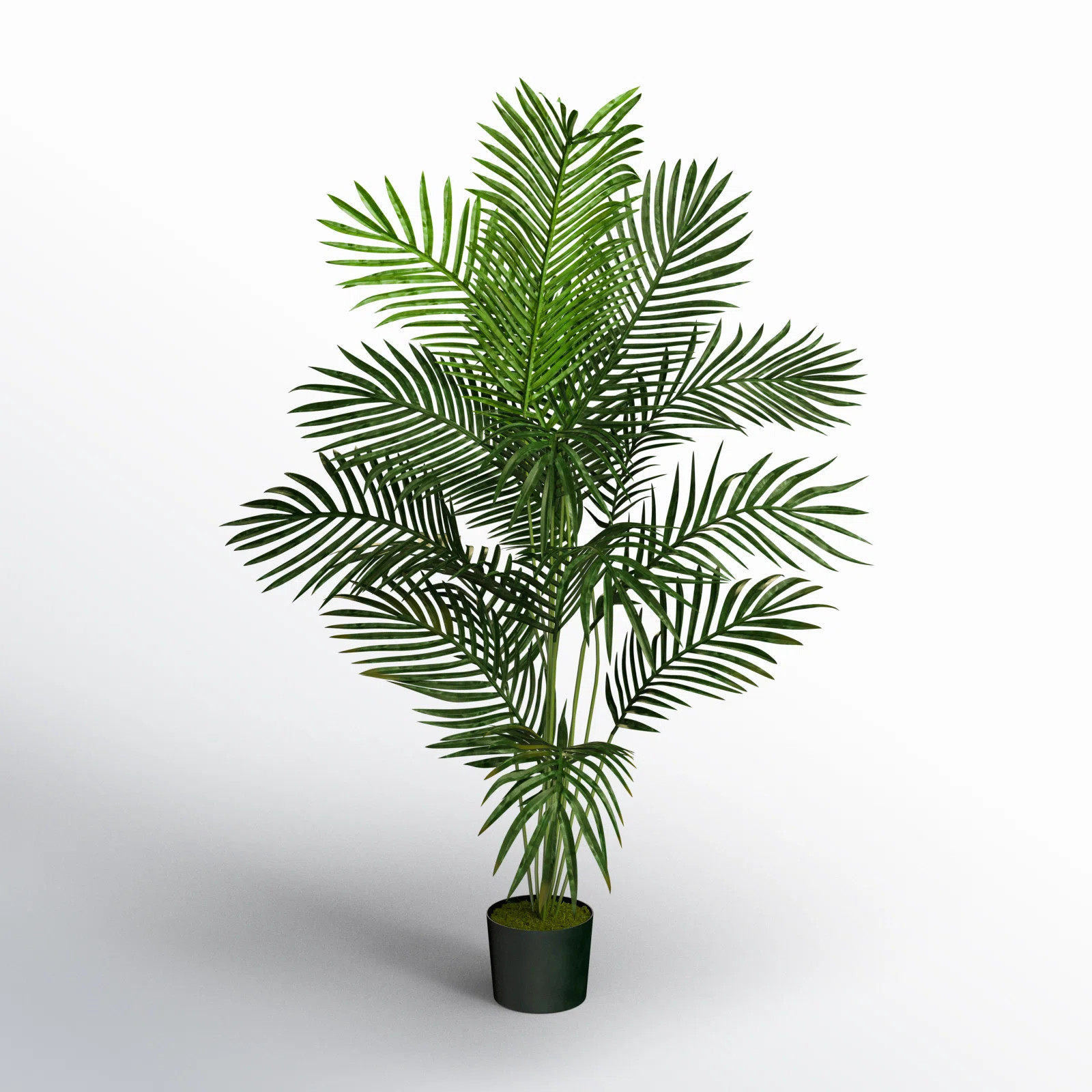 Thisbe 60'' Faux Palm Tree in Pot | Wayfair North America