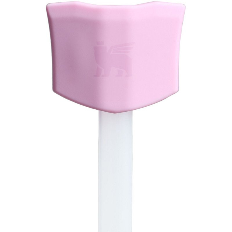 Stanley Quencher Straw Toppers 2-Pack | Academy Sports + Outdoors