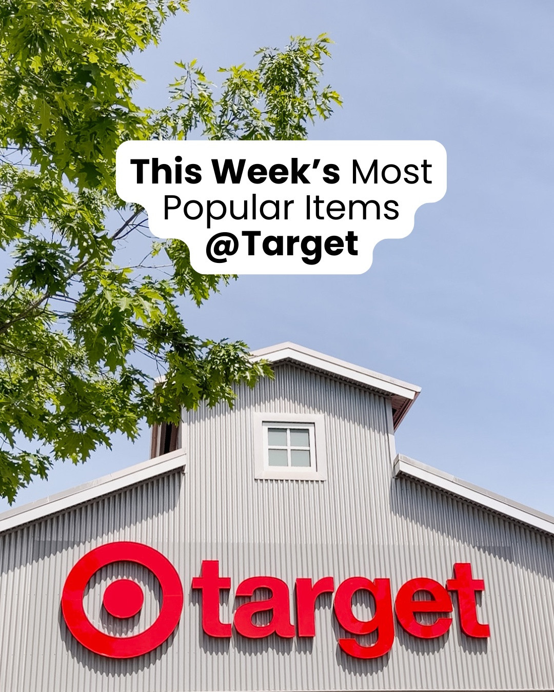 Here are the most popular items at Target this week.  Some great summer outfits, LEGO storage, laundry room organization fun summer treat appliances & more