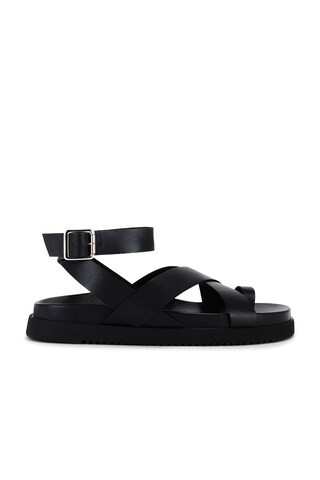 Steve Madden Mira Sandals in Black from Revolve.com | Revolve Clothing (Global)