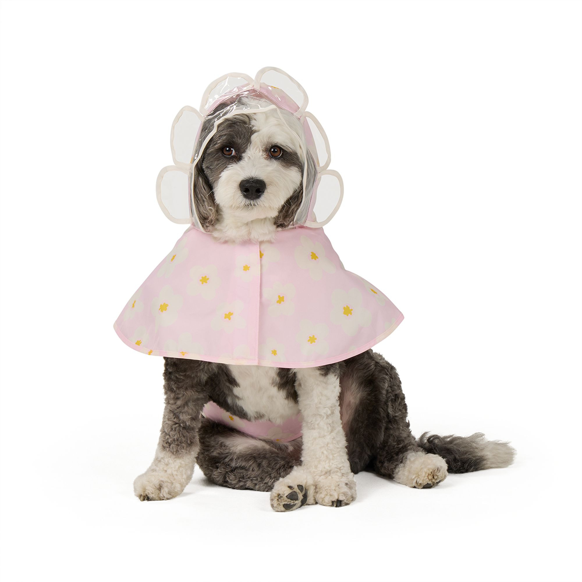 Top Paw® Flower Raincoat | PetSmart