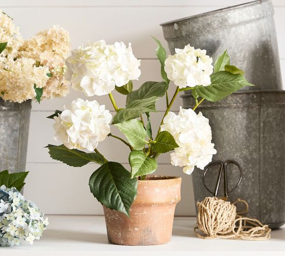 Faux Potted Hydrangea | Pottery Barn (US)