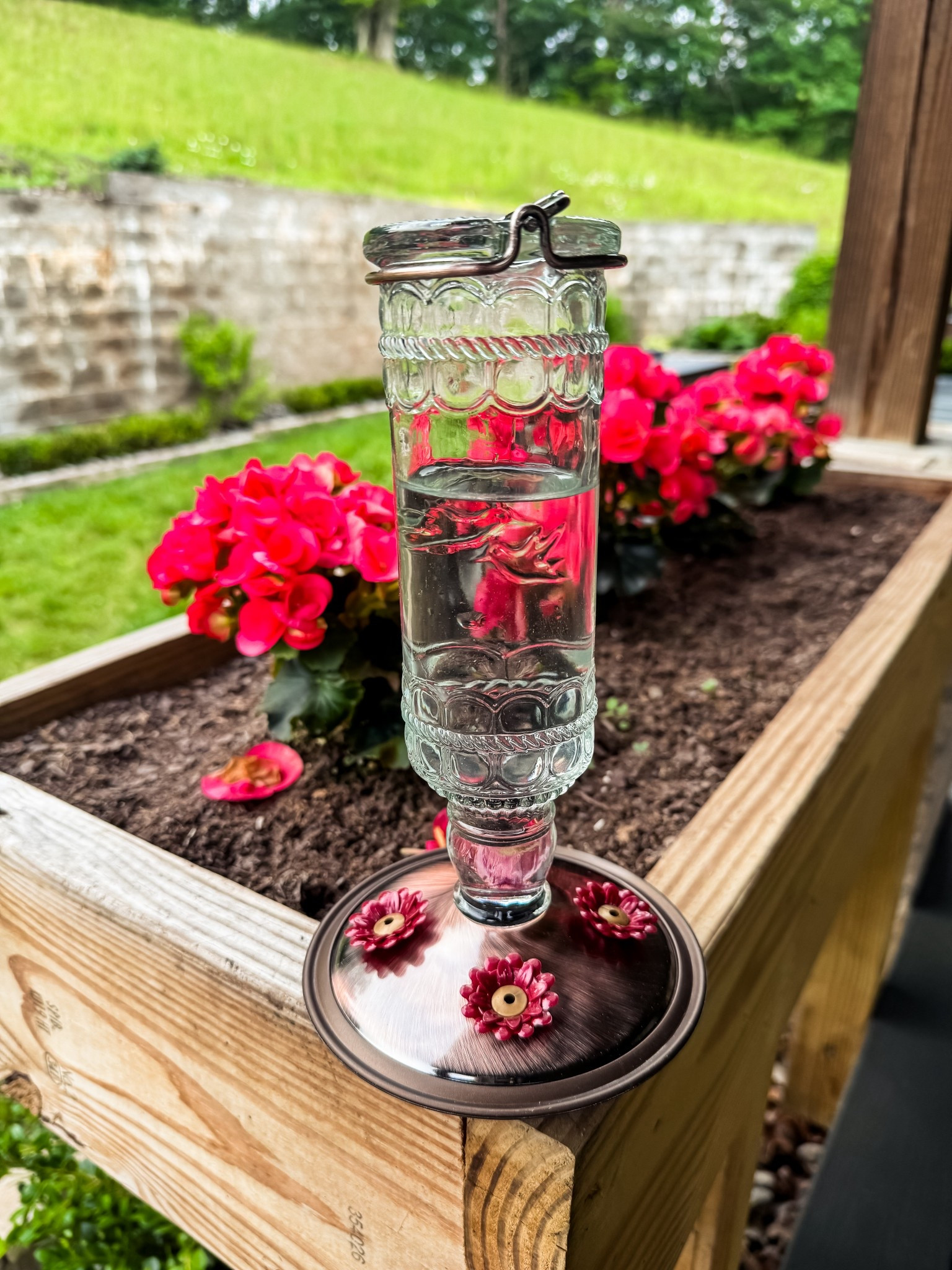 Aesthetic hummingbird feeder

#LTKHome #LTKSummerEdit