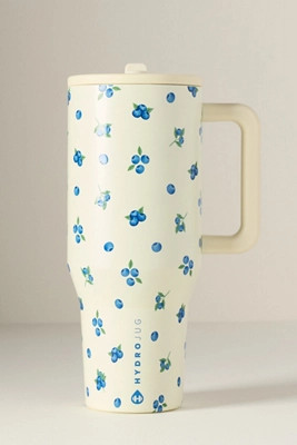 HydroJug 40 oz. Traveler | Anthropologie (US)