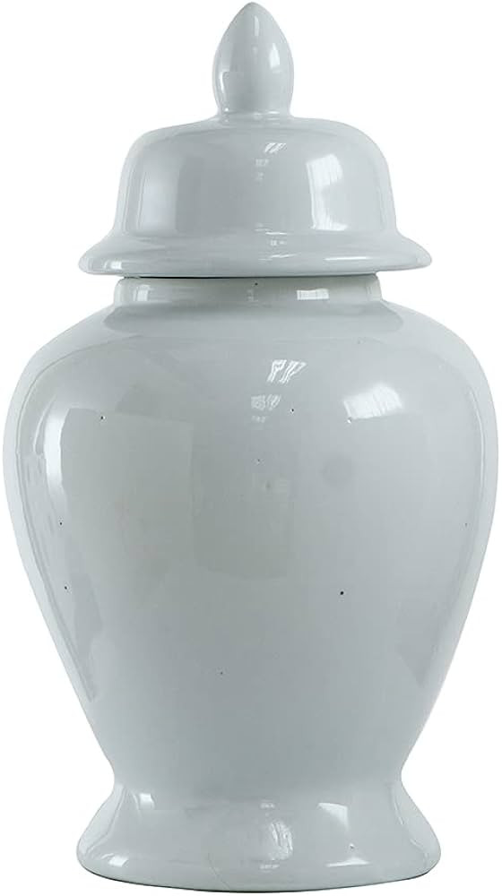 A&B Home Ginger Jar, 10 by 17-Inch | Amazon (US)