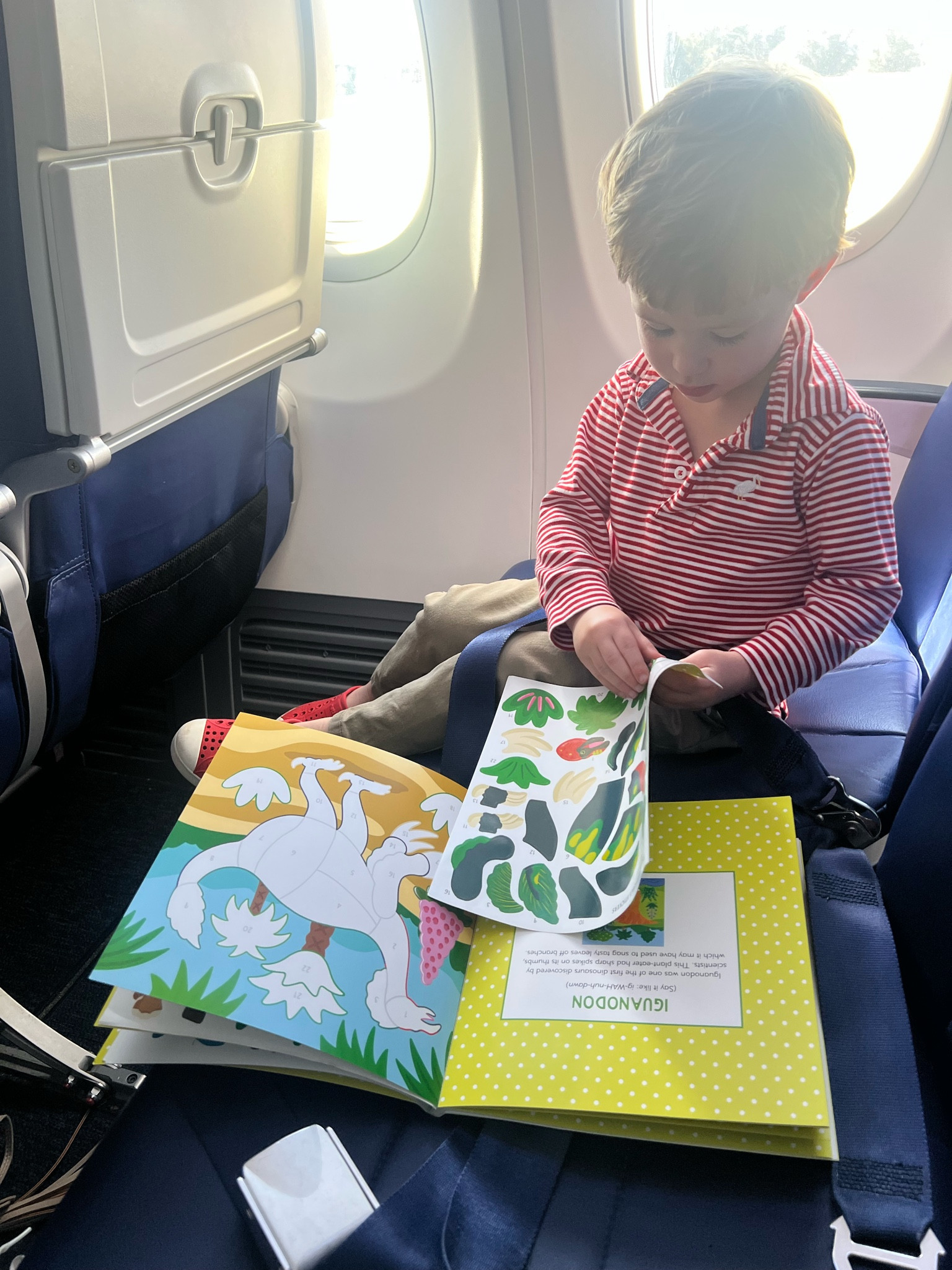 Never going on a flight with out this little sticker book activity ever again! 

#LTKtravel #LTKfamily #LTKkids
