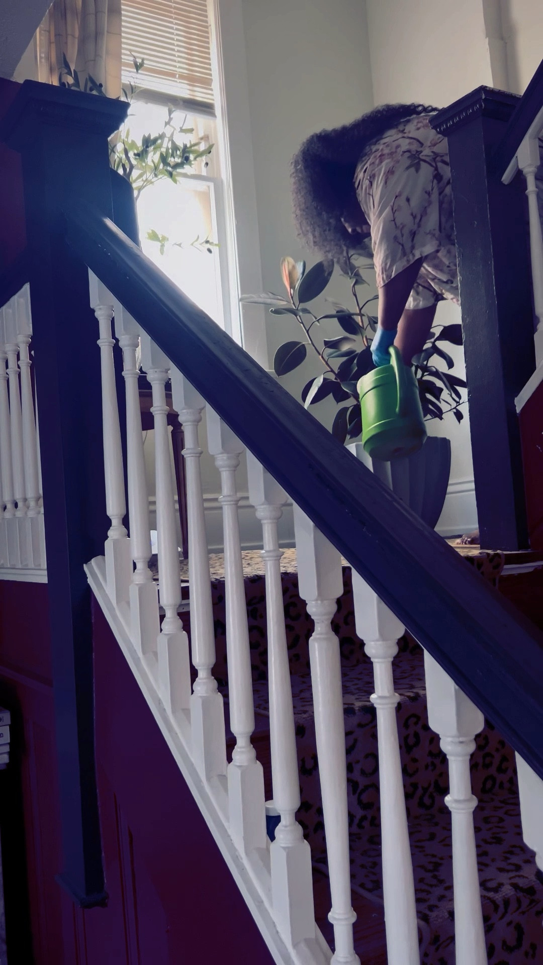 Rubber plant - as the weather warms up outside the indoor plants are much happier for sunny days. Plant food. Plantcare. Natural living. Clean air plants . Nature nurture.  

#LTKHome #LTKselfcare #LTKmomlife