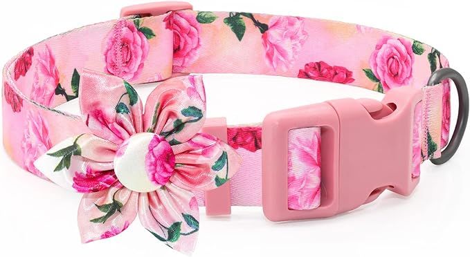 Pink Floral Girl Dog Collar with Rose Flower Bow Tie for Cute Girl Female Cats, Small Medium Larg... | Amazon (US)