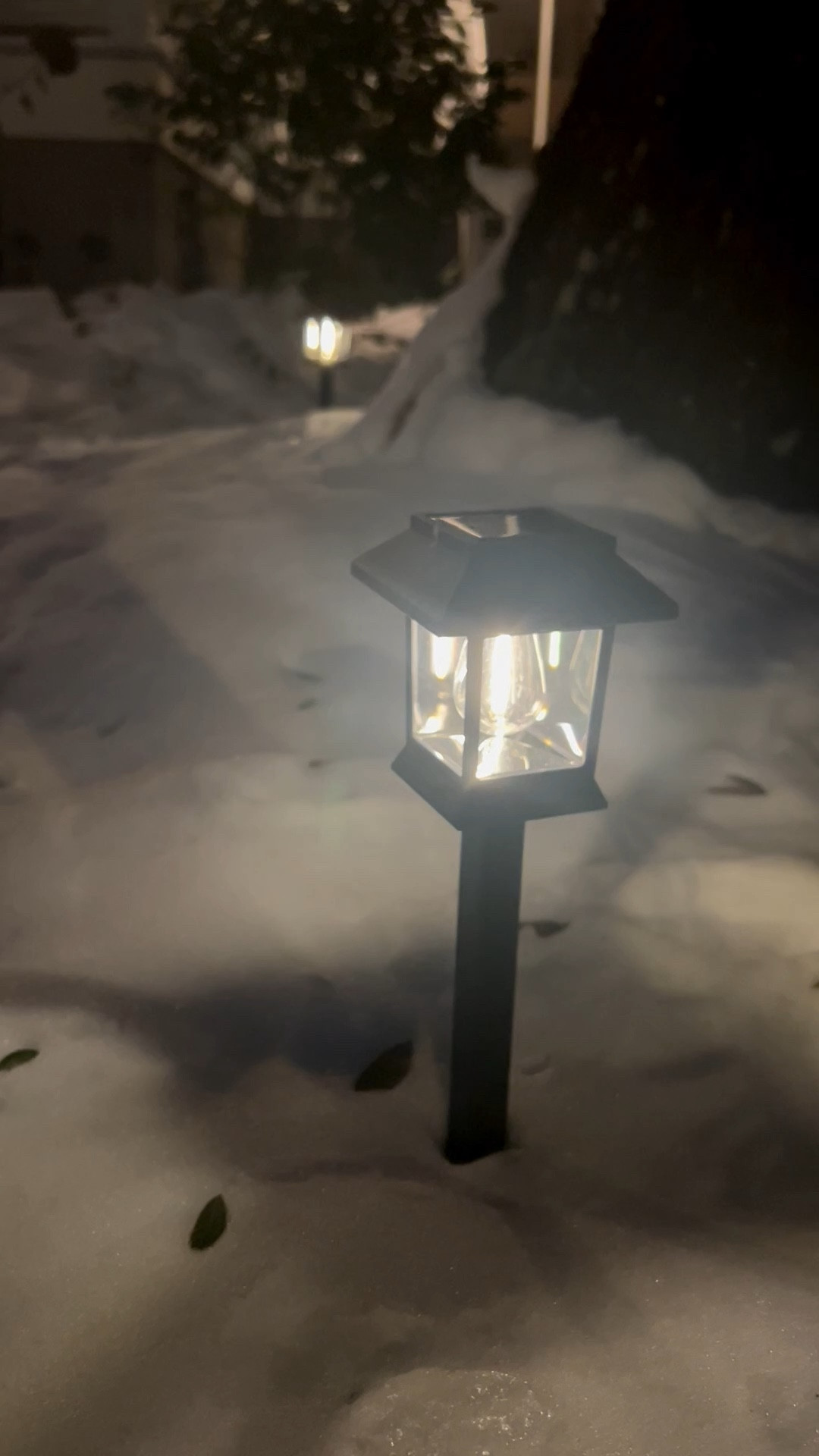 I was very hesitant to order these solar lights from Amazon because the price was so cheap — 12 lights for $35.98 🤯 But so far, so good! They’re still going strong after several weeks and even a snowstorm.

I will say though: if your yard doesn’t get enough sun, they’ll dim pretty quickly. After a few gloomy days, the lights were noticeably dim at night — but after one sunny day, they brightened right back up.
#amazonhome #solarlight #outdoorlighting 

#LTKHome #LTKSeasonal #LTKSaleAlert