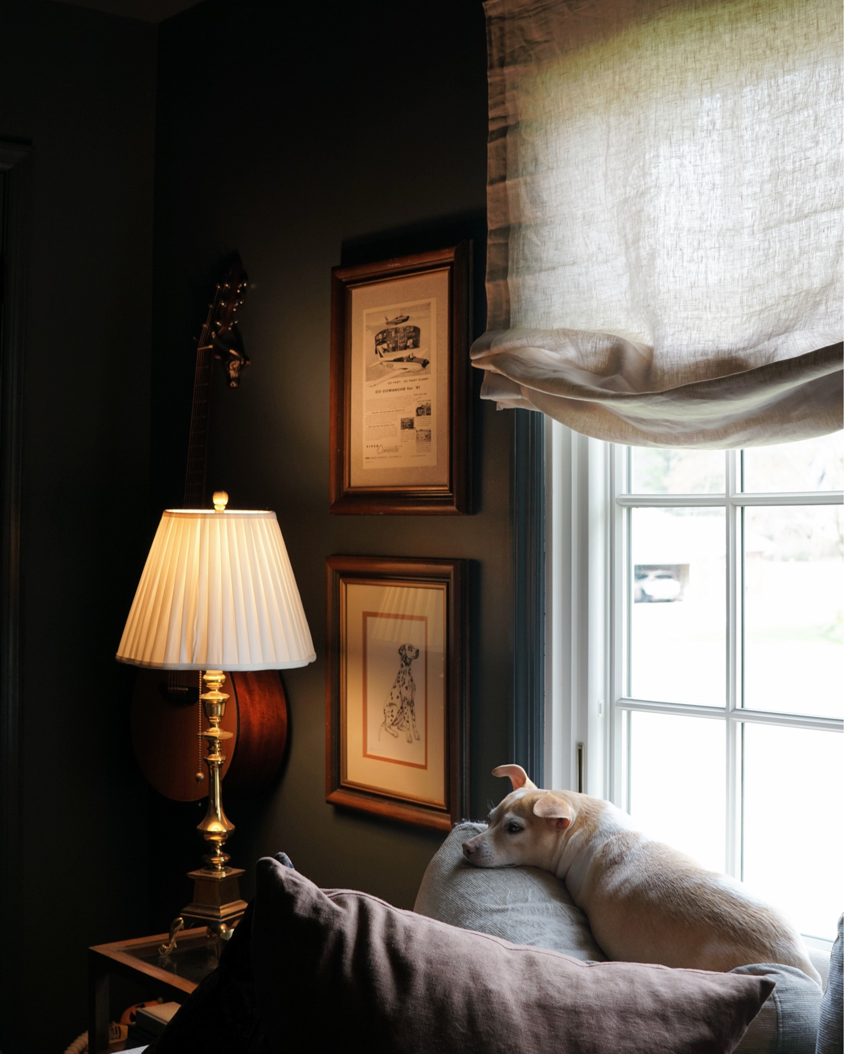 Just a Piggy living his best life, and a rest in peace post to this cutie vintage lamp. The part where the socket is attached broke, and the wires sparked when we tried to fix it… so she had to go 😅 

Now to find her replacement 👀