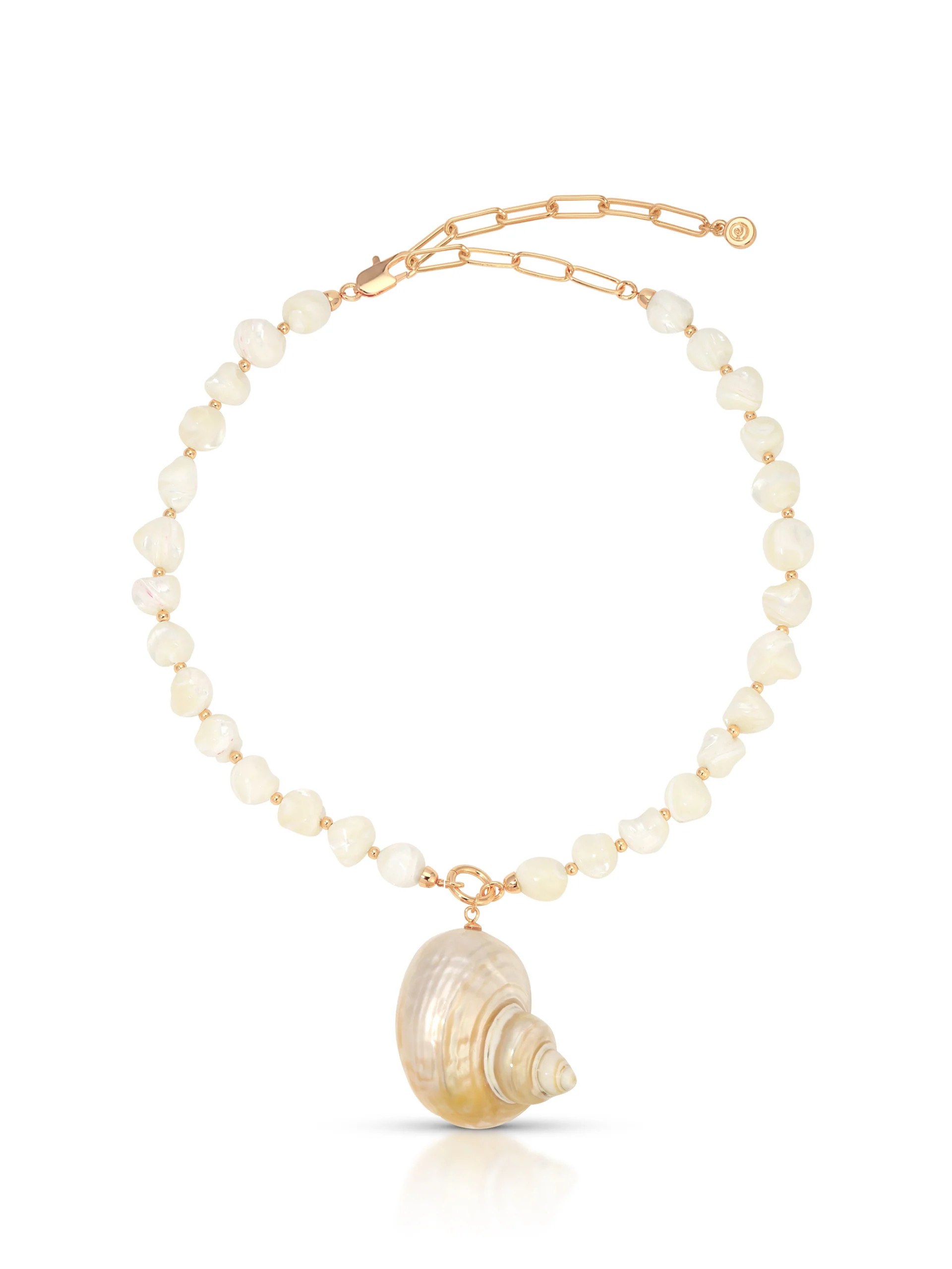 Sunken Treasure Shell Necklace | Ettika