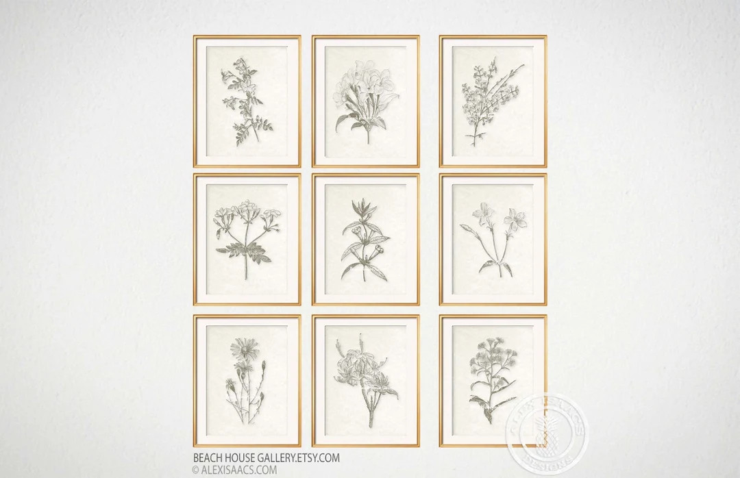 Set of 9 Botanical Prints, Modern Farmhouse Wall Art, Modern Rustic Living Room Art, Jasmine Prin... | Etsy (US)