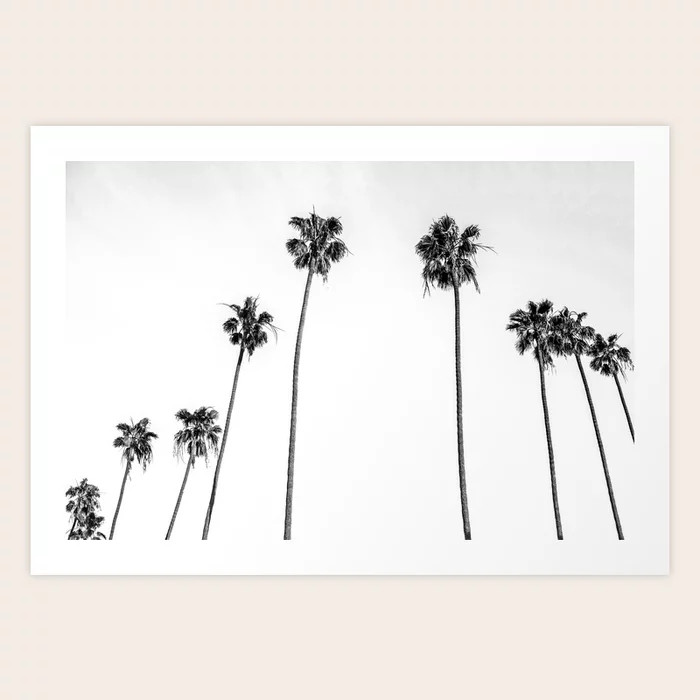 Black + White Palms Art Print | Society6