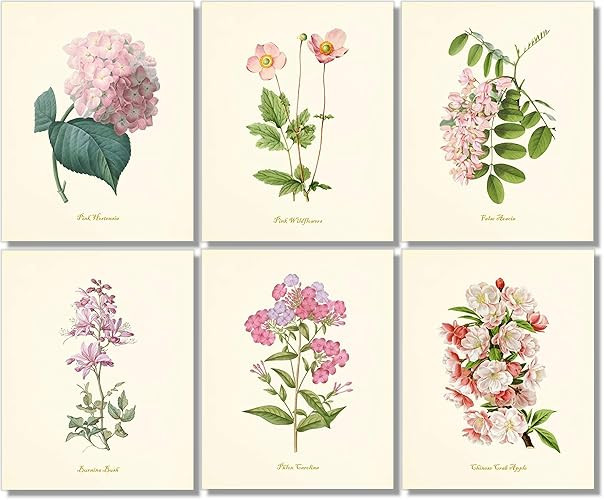 Vintage Pink Flower Art Prints - Botanical Wall Decor - (Set of 6) - 8 x 10 - Unframed | Amazon (US)
