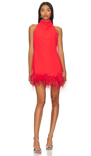 Lunaria Mini Dress in Crimson | Revolve Clothing (Global)