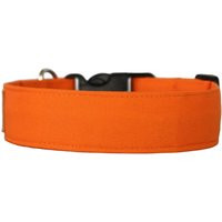 Orange Dog Collar Available in 15 Sizes Xs Through Xl | Etsy (US)