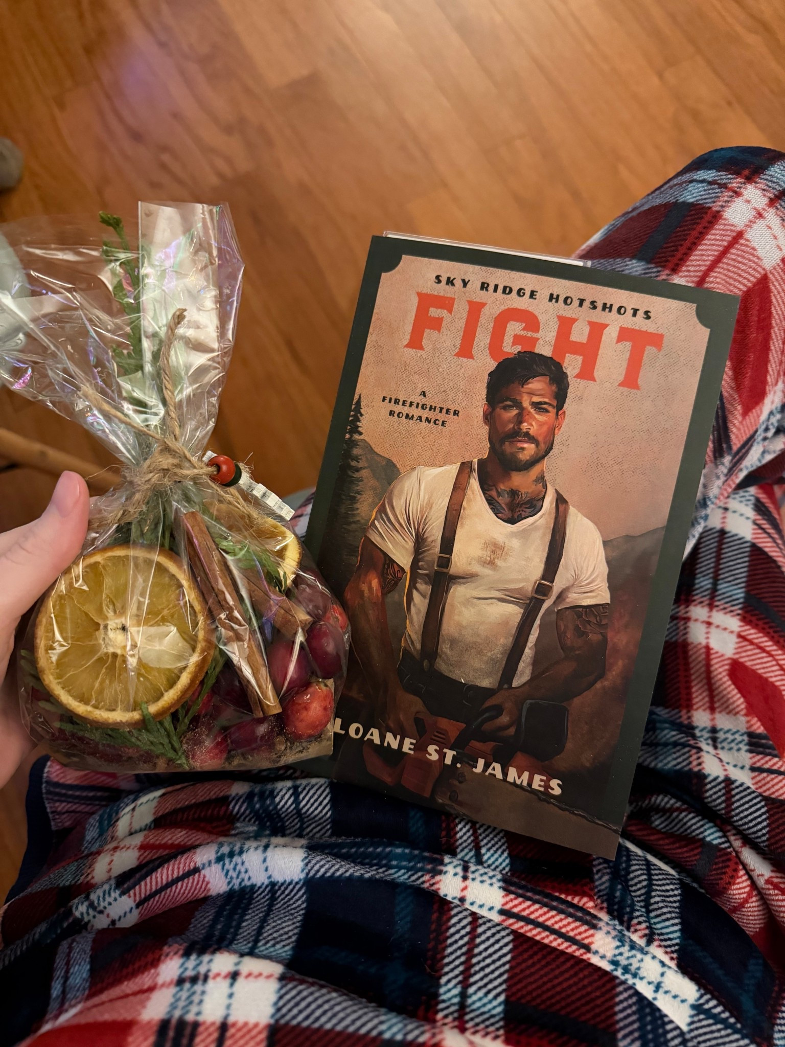 Nothing hits harder than a hot book and making your house smell like Christmas ❤️‍🔥🍋😮‍💨

#LTKHoliday #LTKGiftGuide #LTKHome