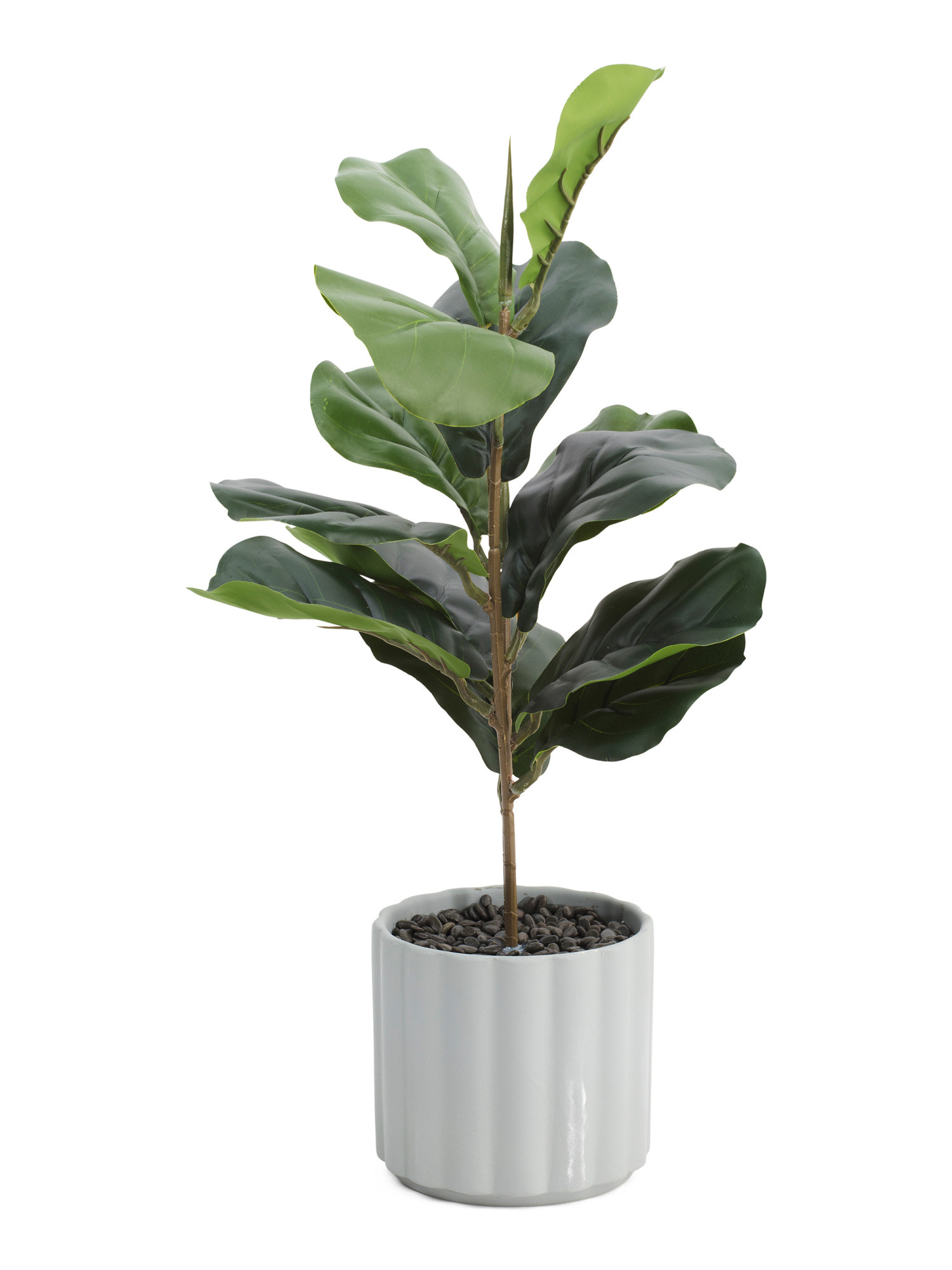 Fiddle Leaf Fig In Column Pot | TJ Maxx