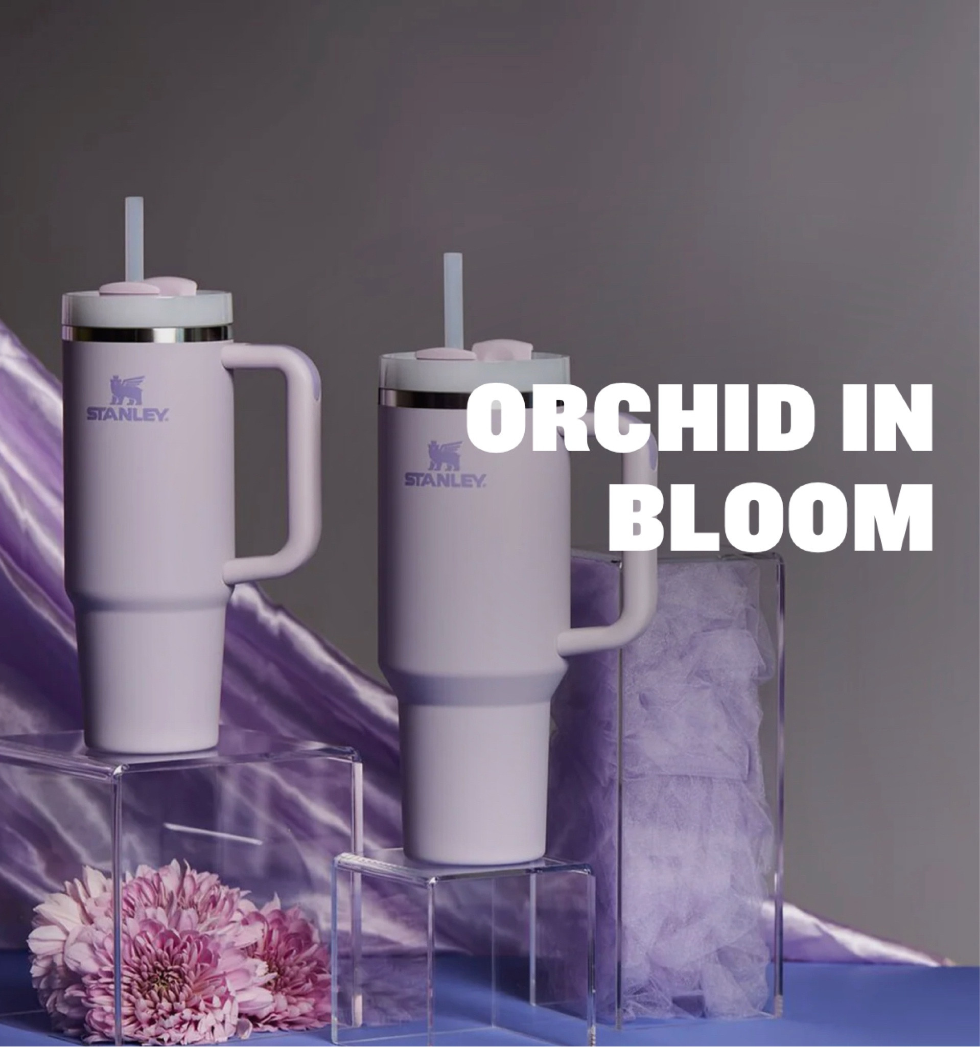 New #Stanley quencher colors! Such a pretty spring color! 💜 

#LTKhome #LTKGiftGuide #LTKfit