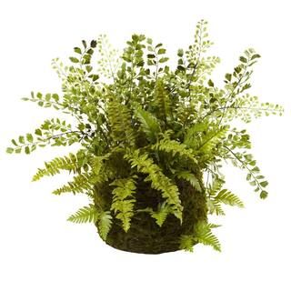 Nearly Natural Mixed Fern with Twig and Moss Basket-4846 - The Home Depot | The Home Depot