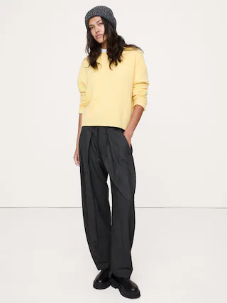 High-Rise Pleated Barrel Flannel Pull-On Pant | Banana Republic (CA)
