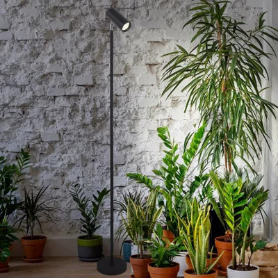 Grow Lights Stand For Indoor Plants Full Spectrum Tall Plant Light For Indoor Growing With 20w Cob Plant Light Bulb,4/8/12h Timer, Led Growth Floor La | Wayfair North America
