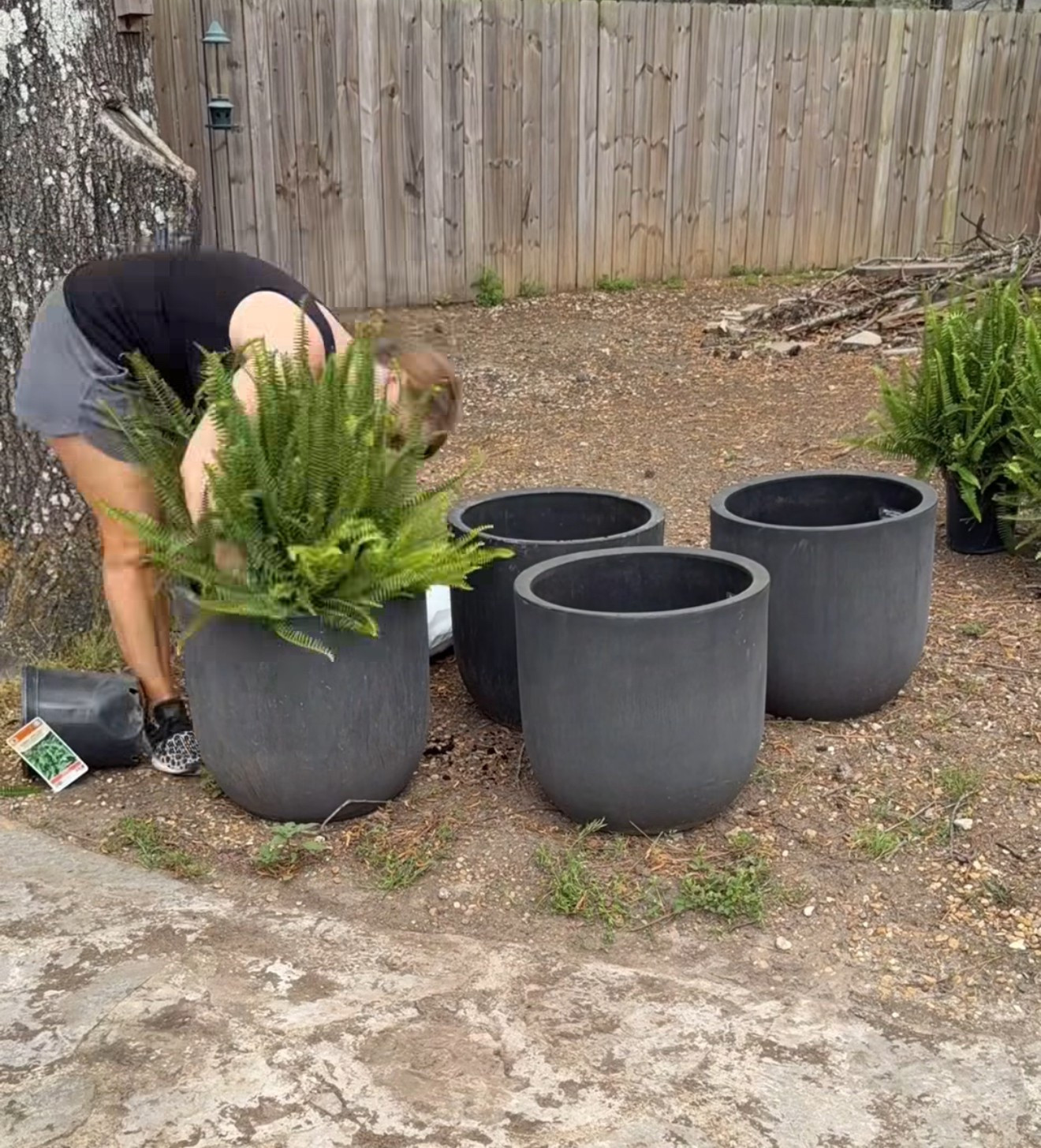 My planters 
I have had these for a couple of years- but they brought them back again this year! 

A nice large size, made of resin- lightweight and durable 

Come in two sizes, I have the 18"

#LTKHome #LTKFindsUnder50 #LTKSeasonal