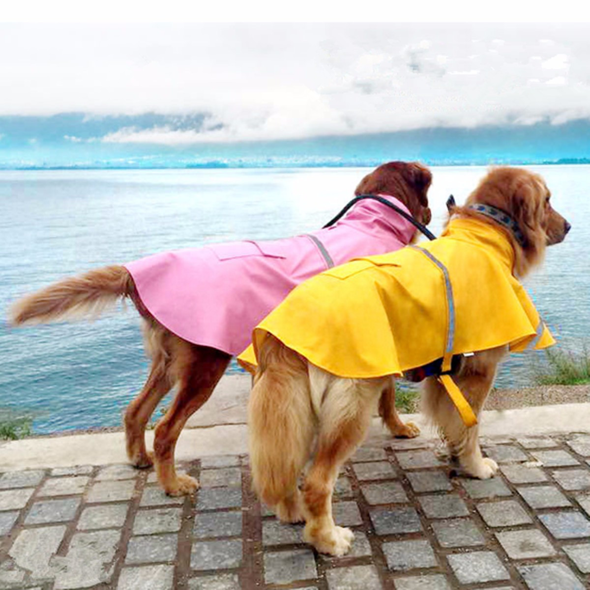 XXL Dog Rain Coat Pet Jacket Puppy Outdoor Clothes Waterproof Coat | Newchic