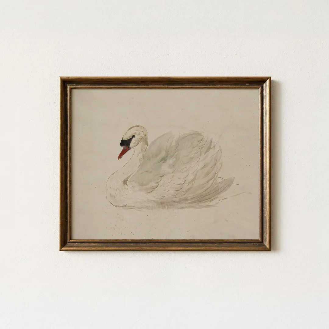 Vintage White Swan Watercolor Painting | Neutral Animal Nursery Wall Art | Rustic Farmhouse Bird ... | Etsy (US)