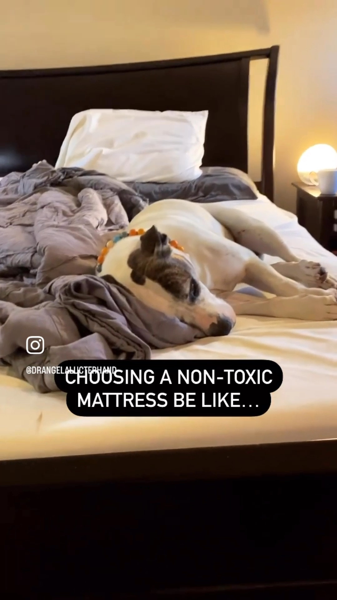 Did you know that humans spend about 26 years of our lives sleeping?! 

And yet, the thing we sleep on, aka a mattress, is typically made with very volatile chemicals and they emit an off-gassing of VOCs when you sleep. VOCs are things like formaldehyde, benzene, and toluene. Better yet, they contain flame retardants. It’s similar to the idea of that “new car smell.” …that smell is chemicals! 

If you’re going to buy a toxic mattress, I suggest leaving it somewhere you don’t frequent for a few weeks before sleeping on it, especially if it came to you vacuum sealed. A majority of heavy off-gassing happens in the days and weeks after it is opened. 

If you’re ready (or in the market for a new mattress like I was!) I encourage you to find an organic, non-toxic mattress. 

I bought a @happsysleep and this is NOT an ad, and I spent my own hard-earned money. I ended up getting the topper because it was a wee bit too firm for the hubby without it!

#happsy #happsymattress #happsysleep #matress #matresshealth #organicmattress #sleepwell #sleephealth #sleepheals #mybackhurts #achesandpains #lymedisease #moldillness #autoimmunewarrior #hashimotos #lupusawareness #whyamisick

#LTKOver40 #LTKHome #LTKCyberWeek