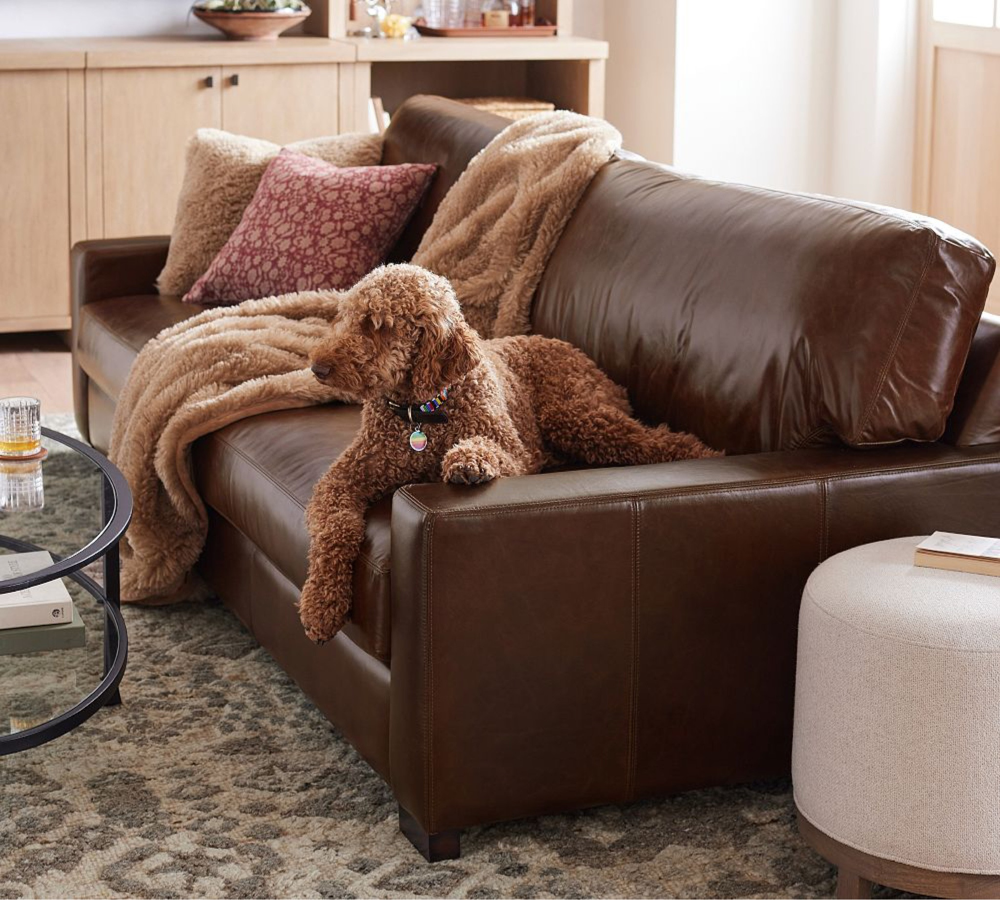 #LTKHalloween #LTKSeasonal #LTKhome