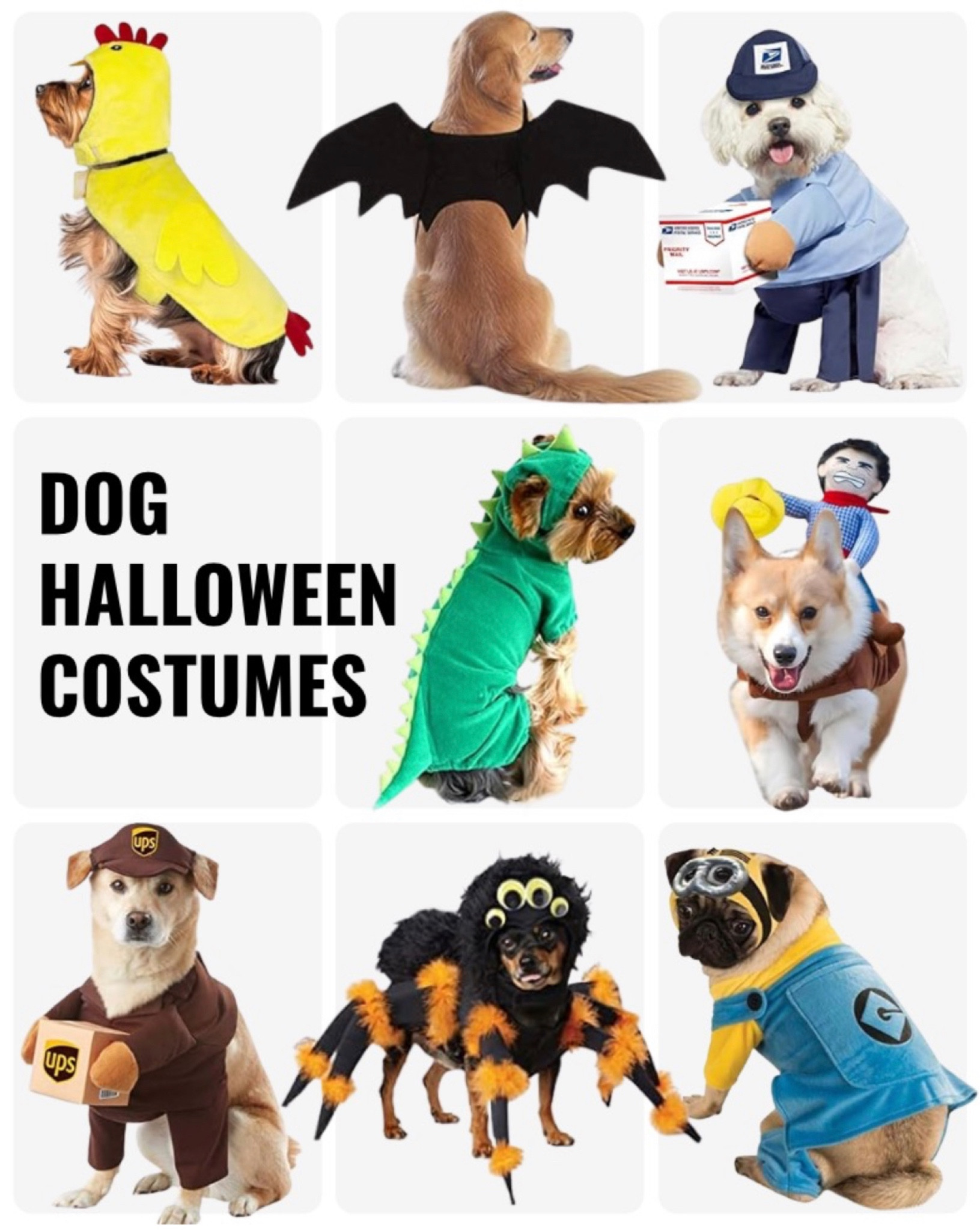 Doggy Costumes 🐾👻

#LTKHalloween