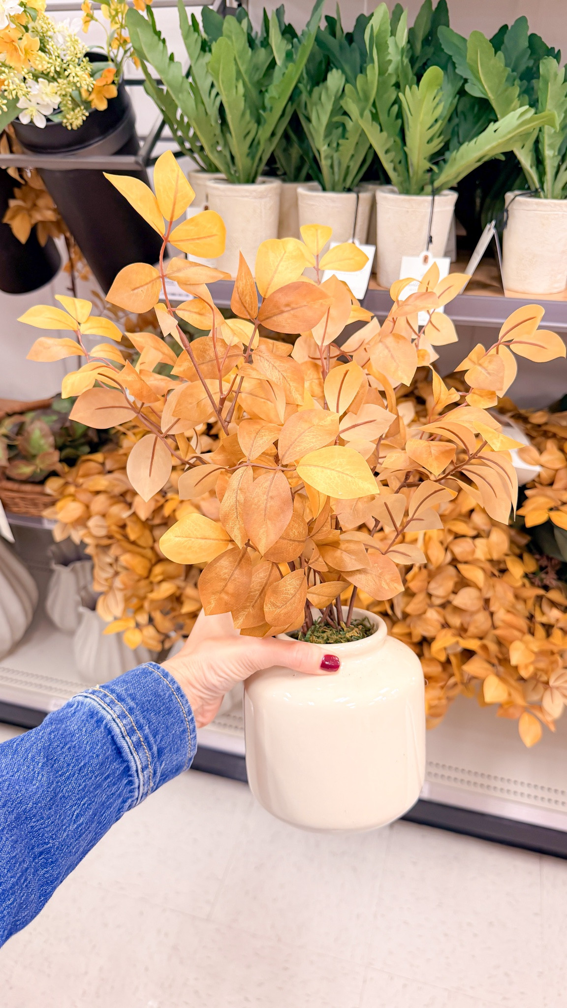 Fall decor at Target!