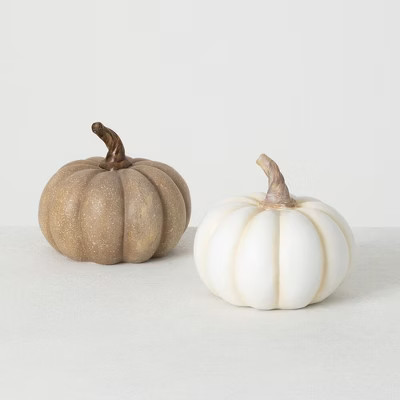 Sullivans Neutral Pumpkin Set of 2  5.5"H Brown | Target