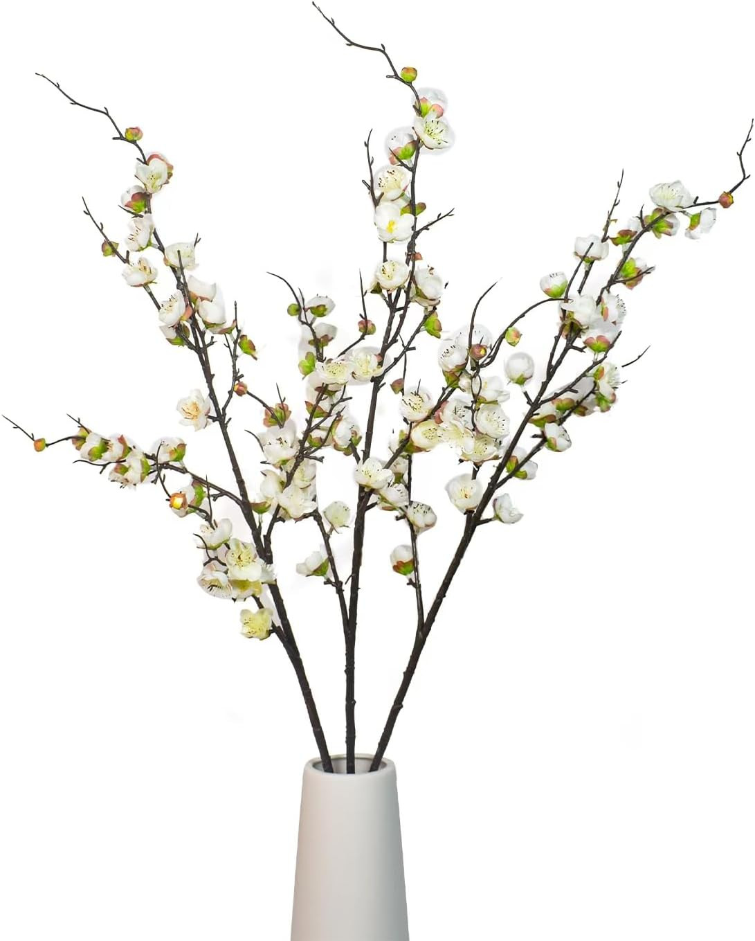 Brand: Direkame | Amazon (US)