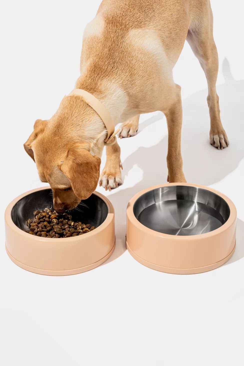 Wild One Stainless Steel Dog Bowl | Urban Outfitters (US and RoW)